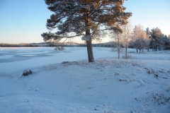 Alajärvi -2013