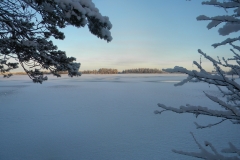 Paattinginjärvi -2013