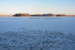 Siikakämänjärvi-2013